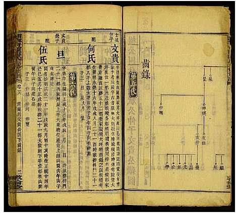 [彭]湘乡青兰彭氏三修族谱_残卷 (湖南) 湘乡青兰彭氏三修家谱_十五.pdf