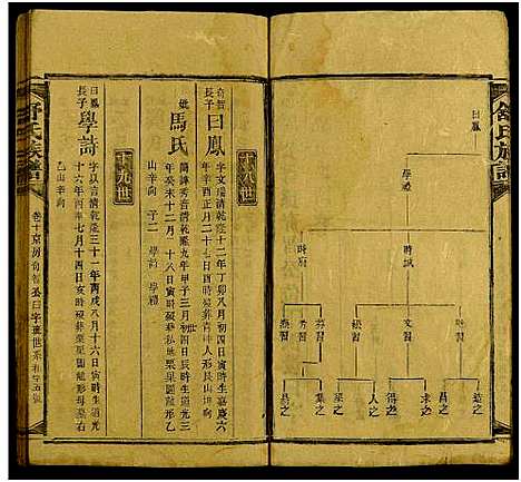 [舒]舒氏方公房谱_存20卷及卷首-舒氏族谱 (湖南) 舒氏方公房谱_十.pdf