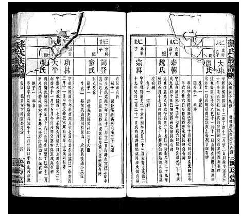 [苏]苏氏族谱_35卷首6卷 (湖南) 苏氏家谱_九.pdf