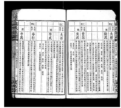 [苏]苏氏族谱_35卷首6卷 (湖南) 苏氏家谱_十七.pdf