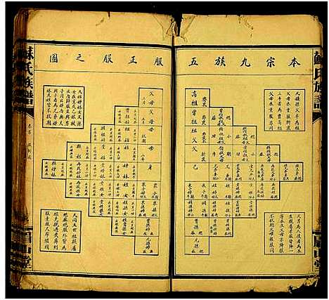 [苏]苏氏族谱_总卷数不详 (湖南) 苏氏家谱_一.pdf