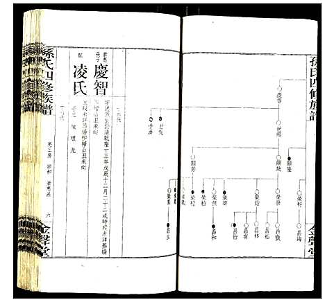 [孙]孙氏四修族谱 (湖南) 孙氏四修家谱_十一.pdf