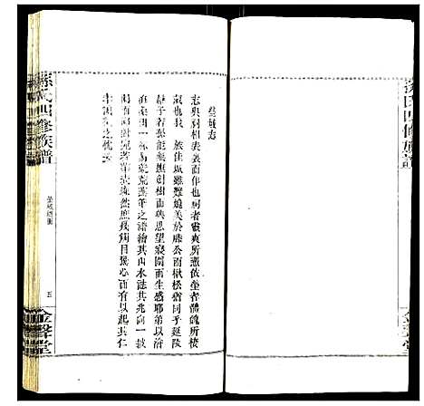 [孙]孙氏四修族谱 (湖南) 孙氏四修家谱_十五.pdf