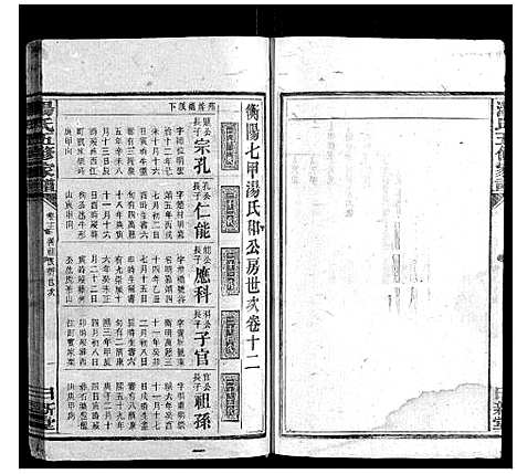 [汤]汤氏五修家谱_16卷首2卷 (湖南) 汤氏五修家谱_十二.pdf