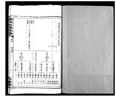 [汤]汤氏五修族谱 (湖南) 汤氏五修家谱_九.pdf