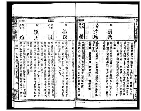 [汤]汤氏五修族谱 (湖南) 汤氏五修家谱_十九.pdf