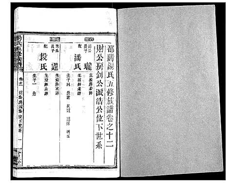 [汤]汤氏五修族谱 (湖南) 汤氏五修家谱_三十.pdf