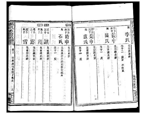 [汤]汤氏五修族谱 (湖南) 汤氏五修家谱_三十.pdf