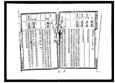 [汤]汤氏八修族谱_37卷首1卷 (湖南) 汤氏八修家谱_二十.pdf