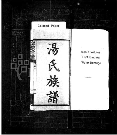 [汤]汤氏族谱_12卷_及卷首末-益阳汤氏五修族谱 (湖南) 汤氏家谱_一.pdf