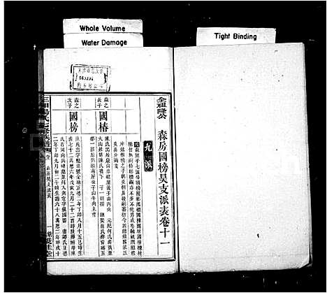 [汤]汤氏族谱_21卷-三湘汤氏七修族谱 (湖南) 汤氏家谱_二.pdf