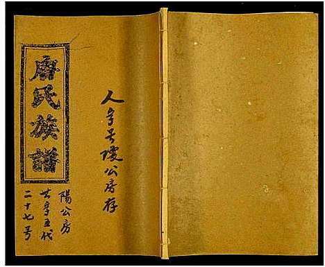 [唐]唐氏六修族谱_69号卷-唐氏族谱 (湖南) 唐氏六修家谱_二十七.pdf