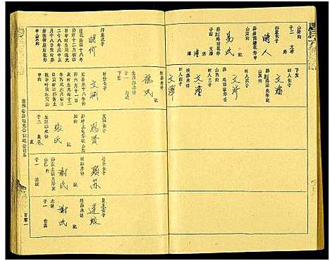 [唐]唐氏六修族谱_69号卷-唐氏族谱 (湖南) 唐氏六修家谱_四十三.pdf