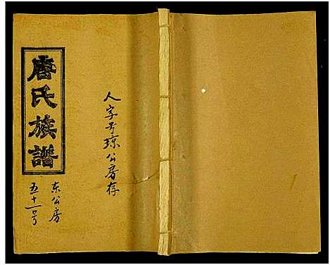 [唐]唐氏六修族谱_69号卷-唐氏族谱 (湖南) 唐氏六修家谱_五十一.pdf