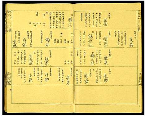 [唐]唐氏六修族谱_69号卷-唐氏族谱 (湖南) 唐氏六修家谱_A067.pdf