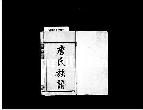 [唐]唐氏族谱_9卷_含首1卷_末1卷-善邑唐家冲唐氏族谱_善邑唐氏族谱_善邑唐氏续修族谱 (湖南) 唐氏家谱.pdf