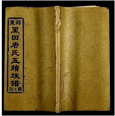 [唐]邵东黑田唐氏五续族谱_隆房49卷首3卷 (湖南) 邵东黑田唐氏五续家谱_五.pdf