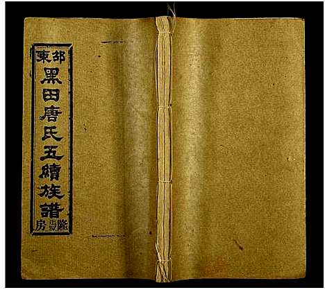 [唐]邵东黑田唐氏五续族谱_隆房49卷首3卷 (湖南) 邵东黑田唐氏五续家谱_十.pdf