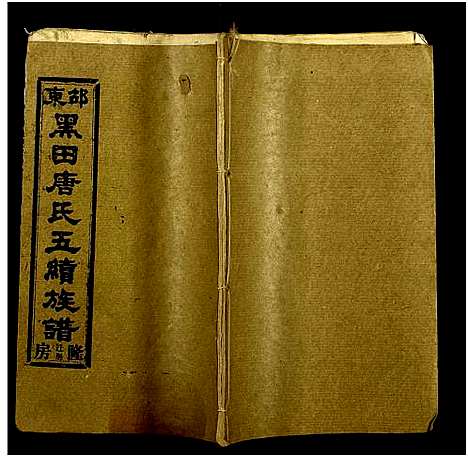 [唐]邵东黑田唐氏五续族谱_隆房49卷首3卷 (湖南) 邵东黑田唐氏五续家谱_二十.pdf