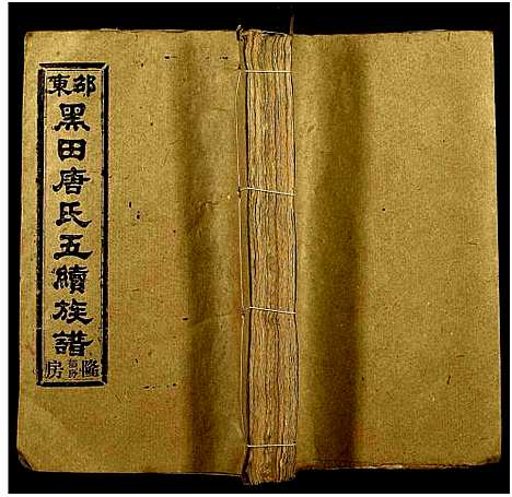 [唐]邵东黑田唐氏五续族谱_隆房49卷首3卷 (湖南) 邵东黑田唐氏五续家谱_四十二.pdf