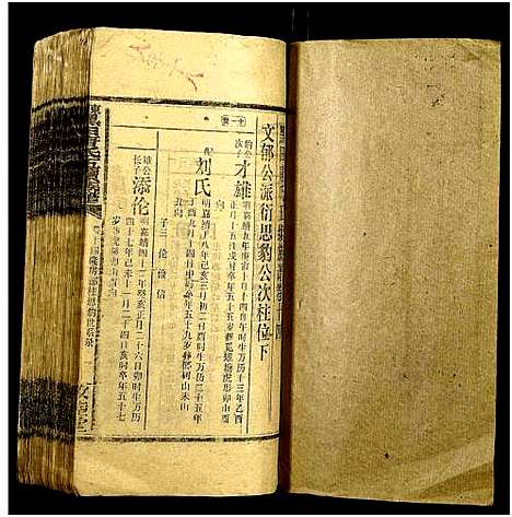 [唐]邵东黑田唐氏五续族谱_隆房49卷首3卷 (湖南) 邵东黑田唐氏五续家谱_四十七.pdf