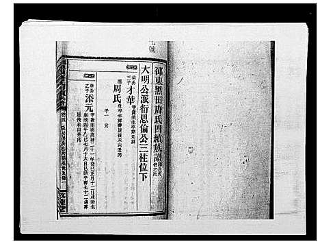 [唐]邵东黑田唐氏四续族谱 (湖南) 邵东黑田唐氏四续家谱_二十.pdf