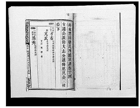 [唐]邵东黑田唐氏四续族谱 (湖南) 邵东黑田唐氏四续家谱_二十八.pdf