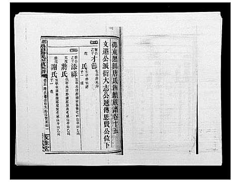 [唐]邵东黑田唐氏四续族谱 (湖南) 邵东黑田唐氏四续家谱_二十九.pdf