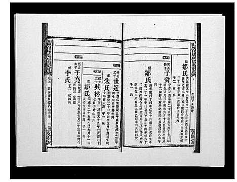 [唐]邵东黑田唐氏四续族谱 (湖南) 邵东黑田唐氏四续家谱_三十八.pdf