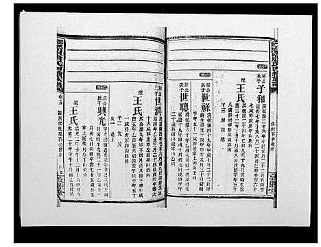 [唐]邵东黑田唐氏四续族谱 (湖南) 邵东黑田唐氏四续家谱_四十.pdf