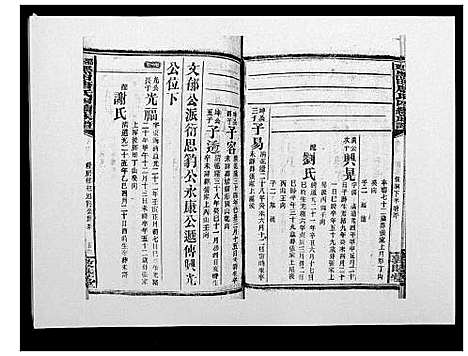 [唐]邵东黑田唐氏四续族谱 (湖南) 邵东黑田唐氏四续家谱_四十.pdf