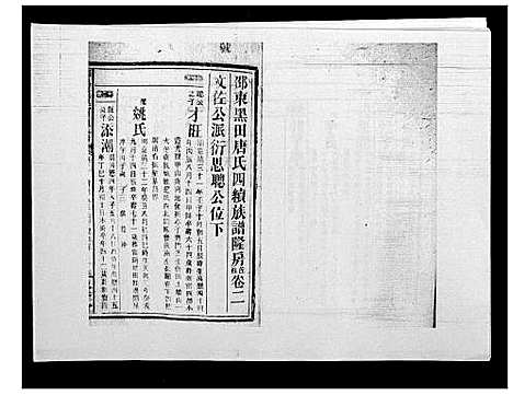 [唐]邵东黑田唐氏四续族谱 (湖南) 邵东黑田唐氏四续家谱_四十三.pdf