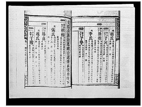 [唐]邵东黑田唐氏四续族谱 (湖南) 邵东黑田唐氏四续家谱_四十三.pdf