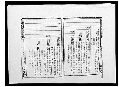 [唐]邵东黑田唐氏四续族谱 (湖南) 邵东黑田唐氏四续家谱_A065.pdf