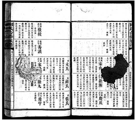 [田]田氏合修族谱_首10卷_卷数不详 (湖南) 田氏合修家谱_十三.pdf