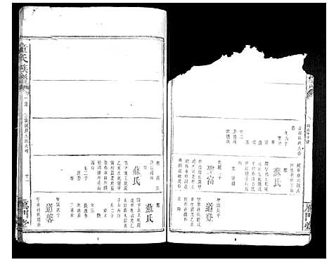 [童]童氏宗谱 (湖南) 童氏家谱_九.pdf