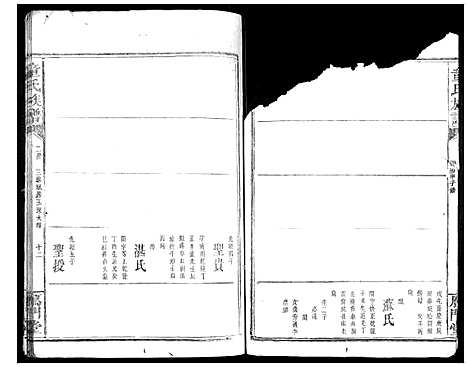 [童]童氏宗谱 (湖南) 童氏家谱_九.pdf