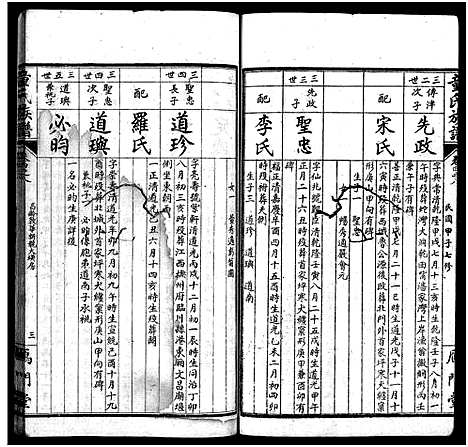 [童]童氏族谱_按房分卷-鴈门童氏平江族谱 (湖南) 童氏家谱_九.pdf