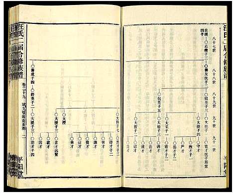 [汪]汪氏二届合修族谱_35卷及卷首 (湖南) 汪氏二届合修家谱_二十九.pdf