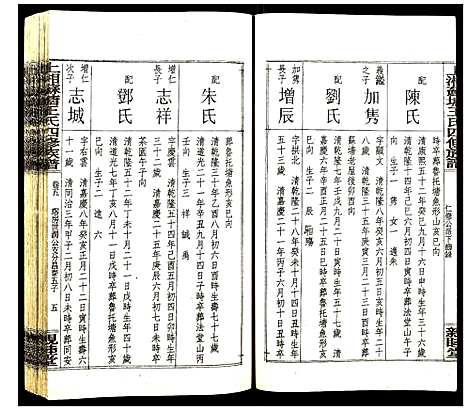 [王]上湘苏塘王氏四修族谱 (湖南) 上湘苏塘王氏四修家谱_八.pdf