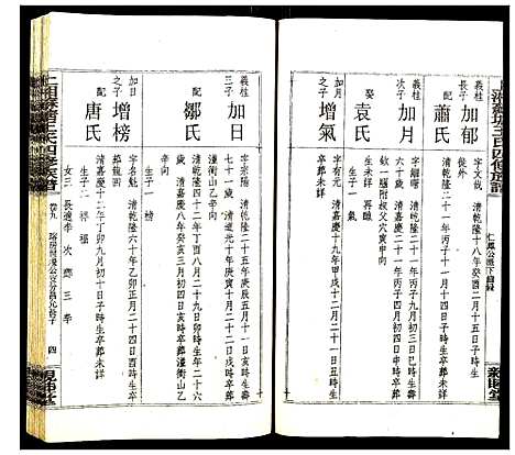 [王]上湘苏塘王氏四修族谱 (湖南) 上湘苏塘王氏四修家谱_十三.pdf