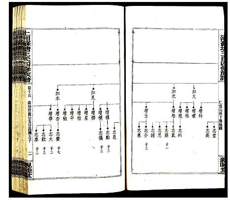 [王]上湘苏塘王氏四修族谱 (湖南) 上湘苏塘王氏四修家谱_十九.pdf