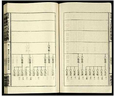 [王]四甲王氏四修族谱_15卷首尾各1卷-王氏族谱 (湖南) 四甲王氏四修家谱_二十.pdf