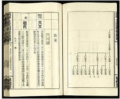 [王]四甲王氏四修族谱_15卷首尾各1卷-王氏族谱 (湖南) 四甲王氏四修家谱_二十一.pdf