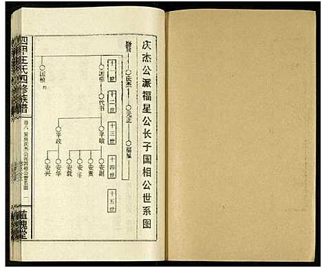 [王]四甲王氏四修族谱_15卷首尾各1卷-王氏族谱 (湖南) 四甲王氏四修家谱_二十五.pdf