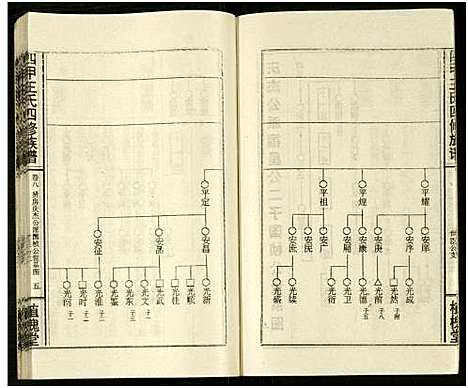 [王]四甲王氏四修族谱_15卷首尾各1卷-王氏族谱 (湖南) 四甲王氏四修家谱_二十五.pdf