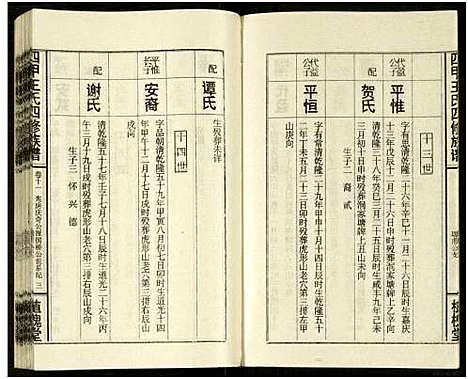 [王]四甲王氏四修族谱_15卷首尾各1卷-王氏族谱 (湖南) 四甲王氏四修家谱_二十八.pdf