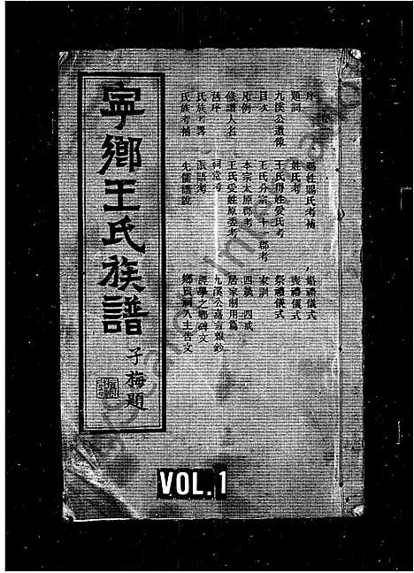 [王]宁乡王氏族谱_12卷-王氏族谱 (湖南) 宁乡王氏家谱.pdf