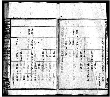 [王]湘南王氏通谱_19卷首1卷-王氏通谱 (湖南) 湘南王氏通谱_四.pdf