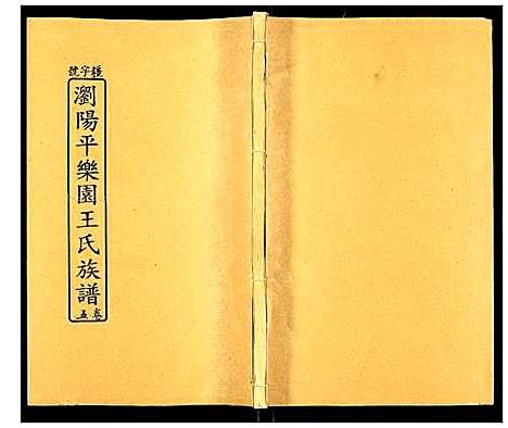 [王]浏阳平乐园王氏族谱 (湖南) 浏阳平乐园王氏家谱_八.pdf